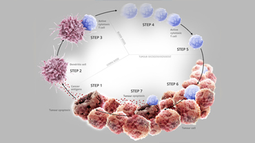 The cancer immunity cycle