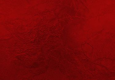 filters:no_upscale(),format(webp)
