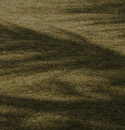 filters:no_upscale(),format(webp)