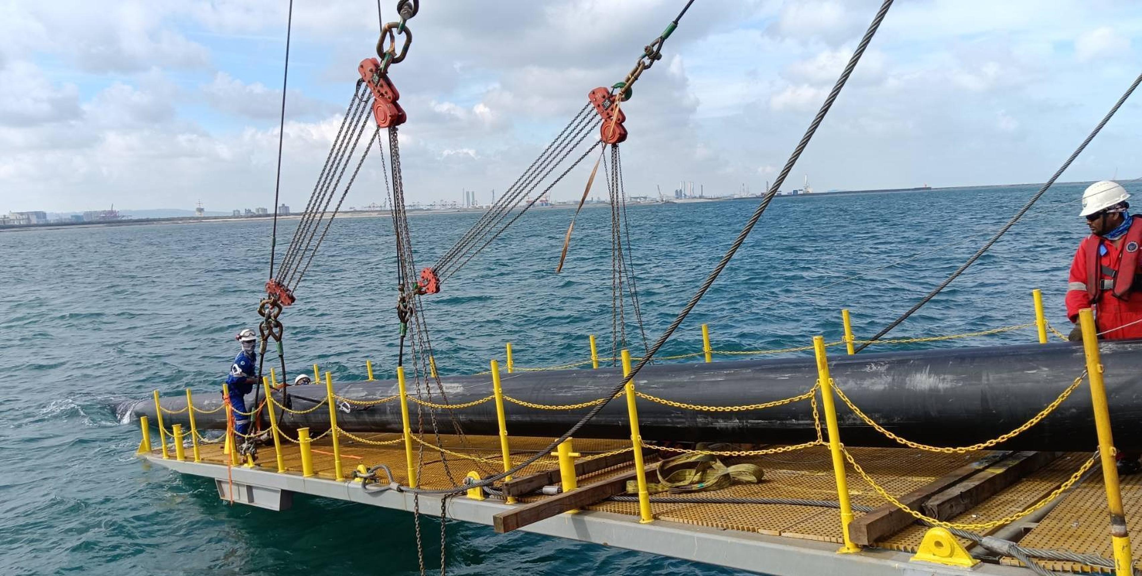 bg image //a.storyblok.com/f/127106/1706x861/009402053e/feng-miao-offshore-wind-farm-cover.jpg