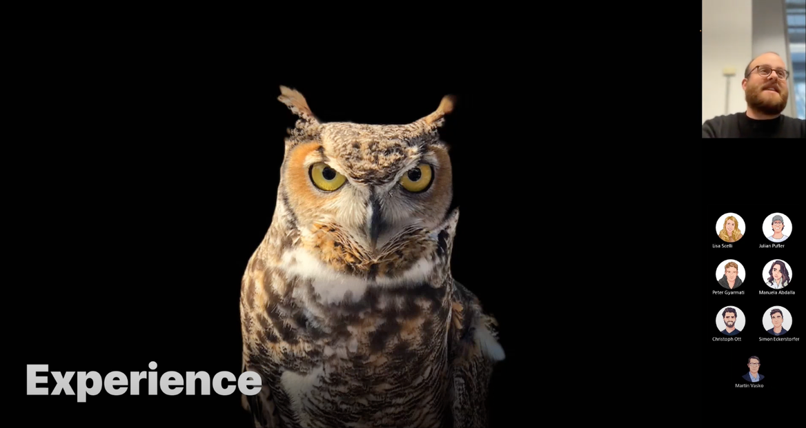 Screenshot of a Team Meeting. Presentation Slide with an Owl reading "Experience"