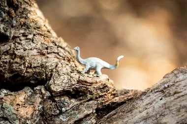 A toy dinosaur standing on a wooden surface
