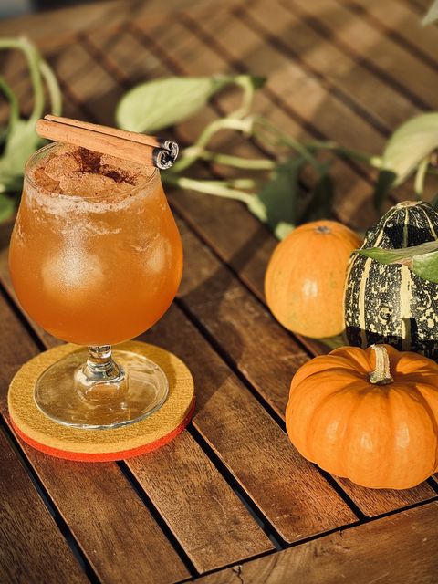 a light brown cocktail with grated cinnamon, nutmeg, and a charred cinnamon stick garnish sitting on a table in the late afternoon sun with plants and small pumpkins