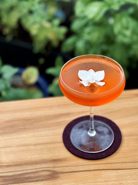 bright orange cocktail with white orchid garnish floating in the middle of a coupe glass sitting on a purple felt coaster on a wooden table with plants in the background