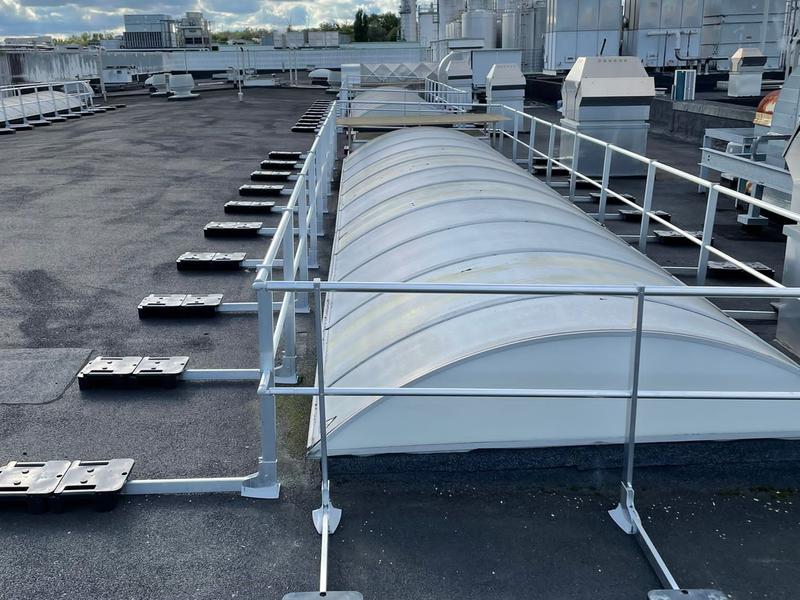 Borstwering - Beveiligen van lichtkoepels op daken soja fabrikant te Wevelgem