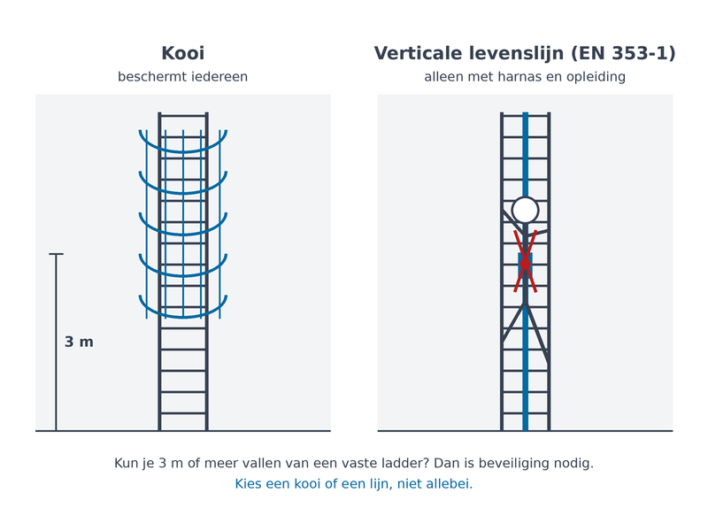 Schema: links een vaste ladder met kooi, rechts een ladder met een rail en een meeloper