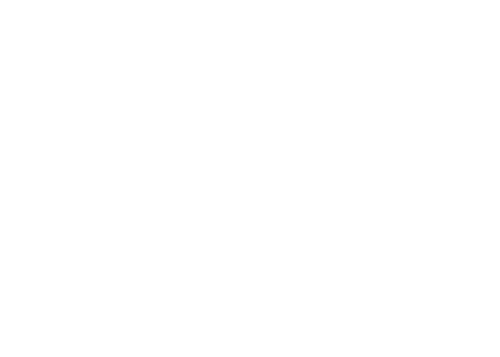 Shopify Plus