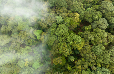 What carbon footprint means now for businesses