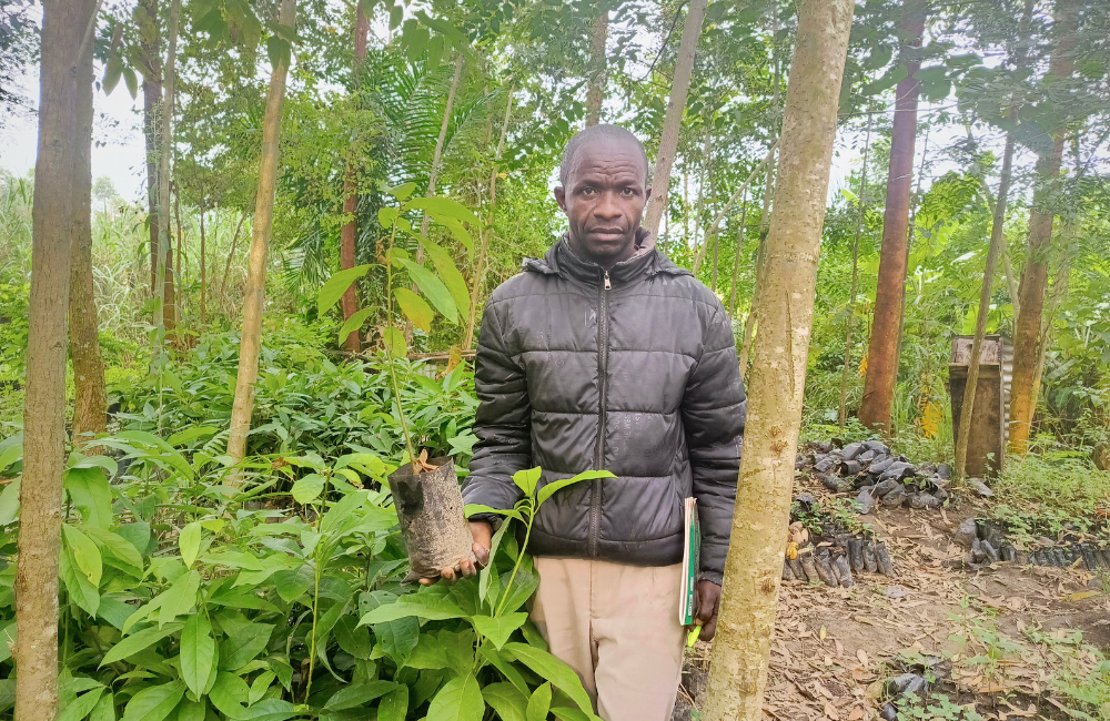 NbS carbon credits impact on livelihoods and communities