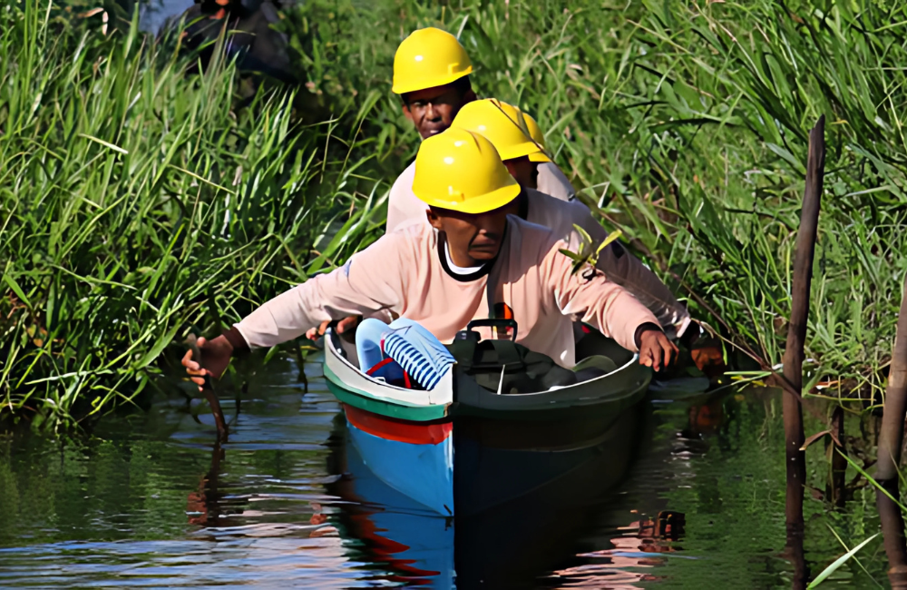 Peatland protection, Rimba Raya