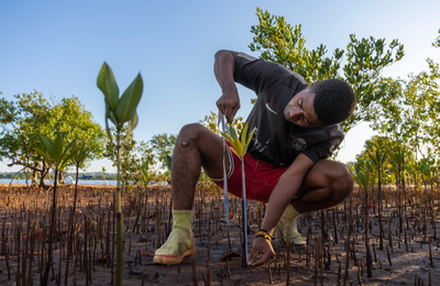 Our most commonly asked questions on future carbon sourcing