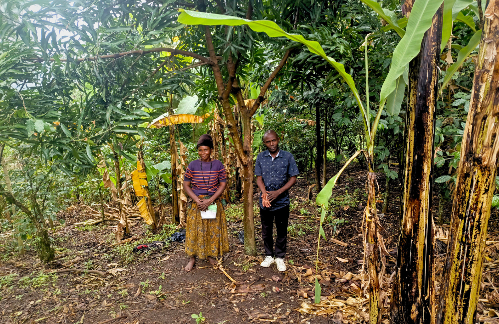 NbS carbon credits impact on livelihoods (1)