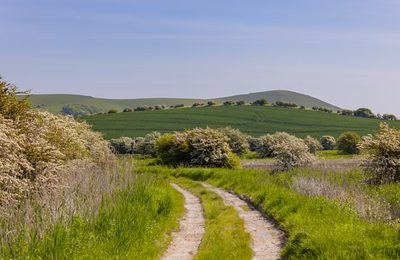 Why biodiversity credits are moving up the corporate sustainability agenda for 2026