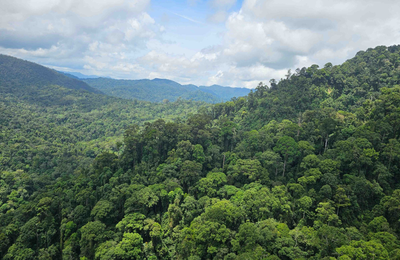 What the SBTi's Corporate Net-Zero Standard V2 means for your carbon credit strategy