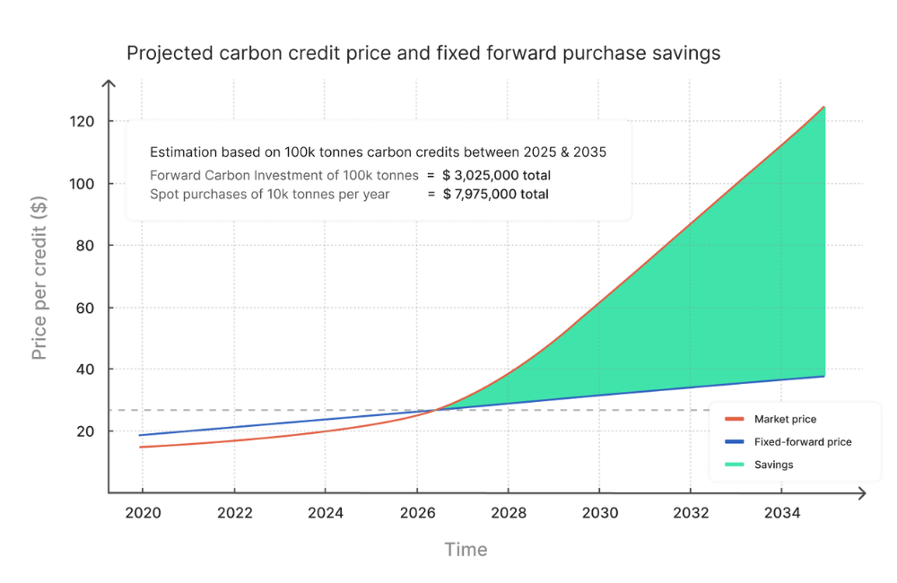 Graph showing projected carbon credit prices from 2023 to 2034. It compares market price, fixed-forward price, and savings, with a highlighted cost estimation.