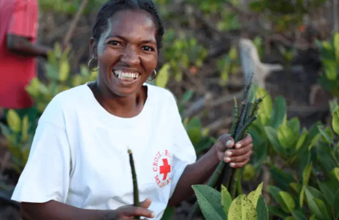 Expanding investments in nature-based solutions (NbS) could lead to the creation of as many as 32 million jobs by 2030