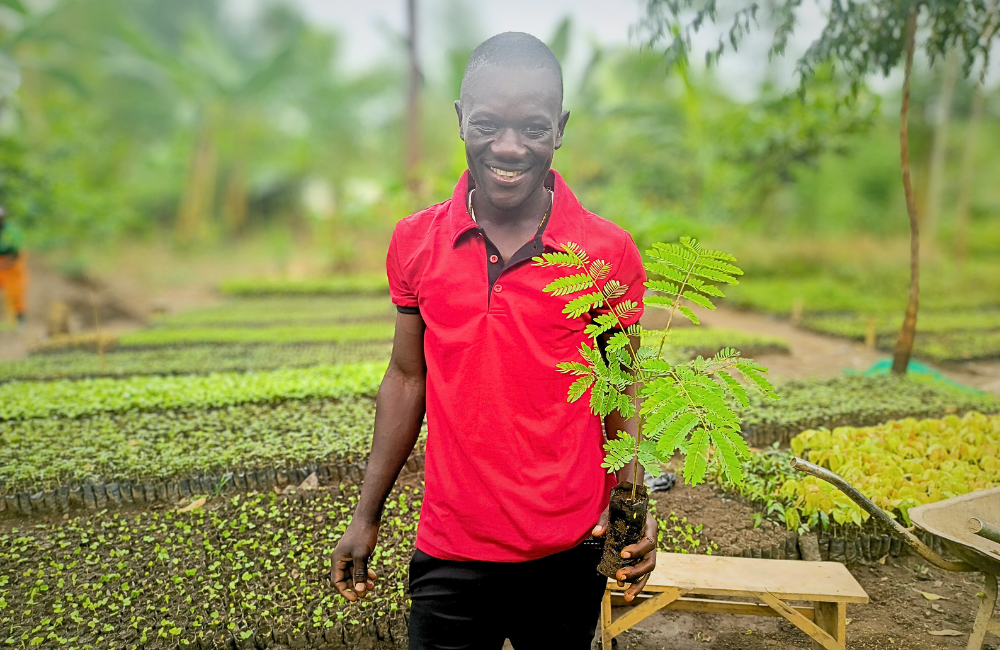 NbS carbon credits impact on livelihoods