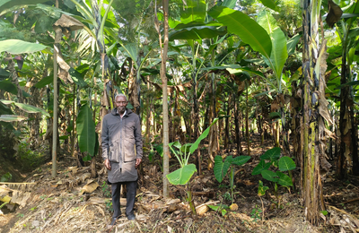 Eight inspiring stories of how nature-based solutions are changing lives in the Ruwenzori landscapes
