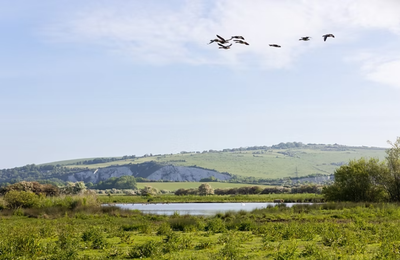 How the South Downs National Park and Earthly are driving biodiversity recovery through VBCs