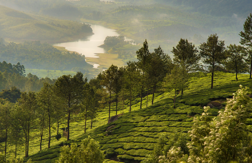 Indo-gangetic nature