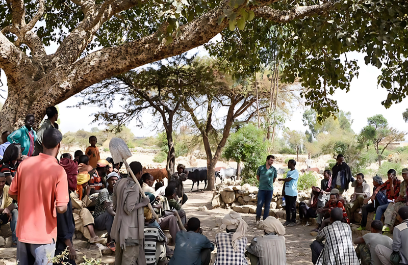 The social pillar  in Keystone 3.0: evolving Earthly’s nature-project assessment