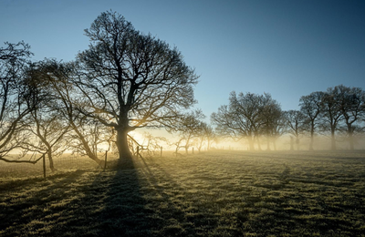 Everything you wanted to know about Voluntary Biodiversity Credits