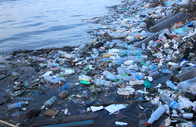 Earth Day 2024 - NbS  role in fighting plastic waste