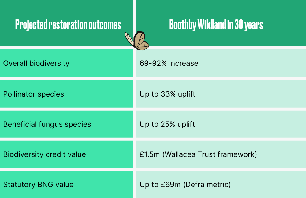 What Boothby Wildland could achieve over 30 years of restoration
