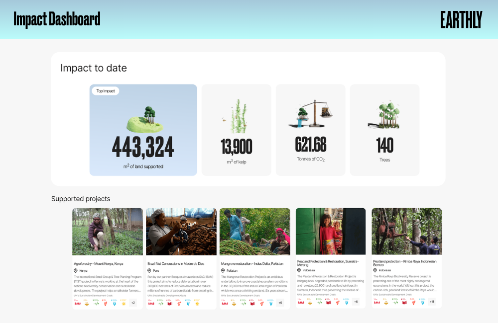 preview screenshot of Earthly impact dashboard