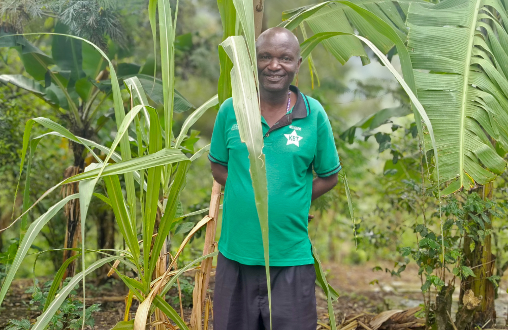 NbS carbon credits impact on livelihoods (1)