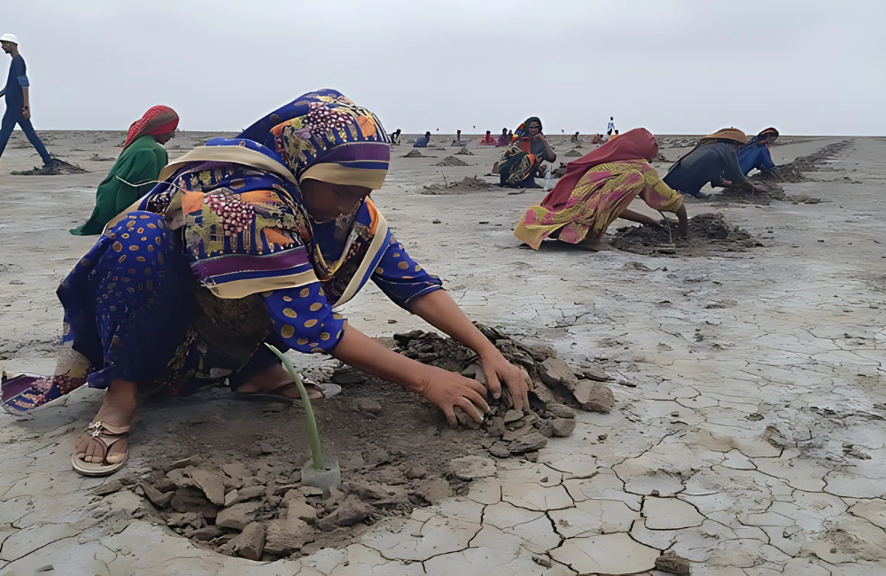 Indus Delta