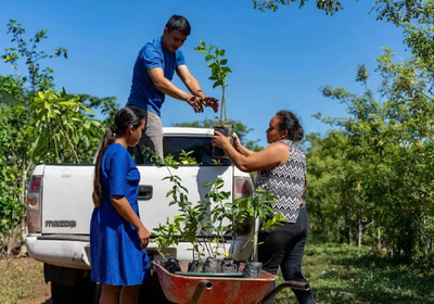 Earthly on the ground: We visited a reforestation and agroforestry project in Guatemala