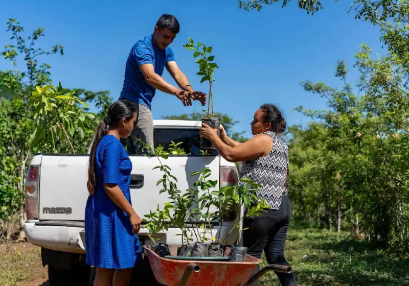 Earthly on the ground: We visited a reforestation and agroforestry project in Guatemala