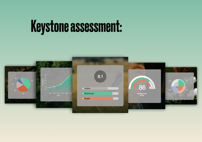 The evolution of Keystone: Earthly’s best-in-class nature project assessment