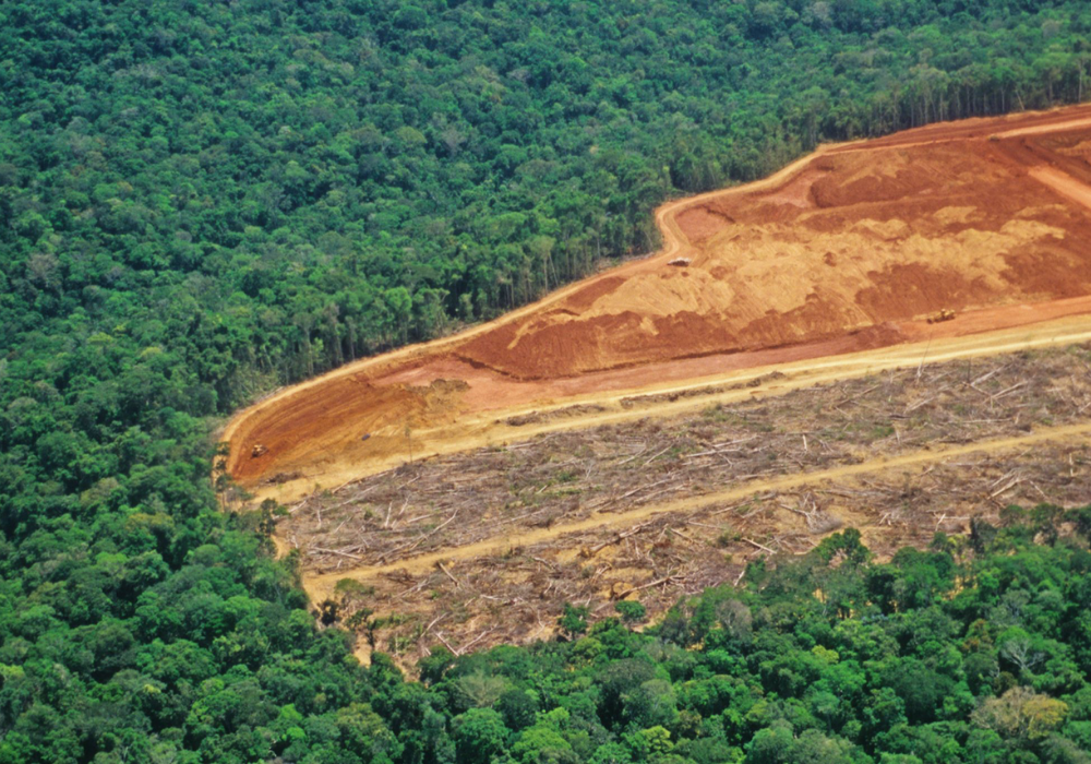 Leakage in NbSprojects