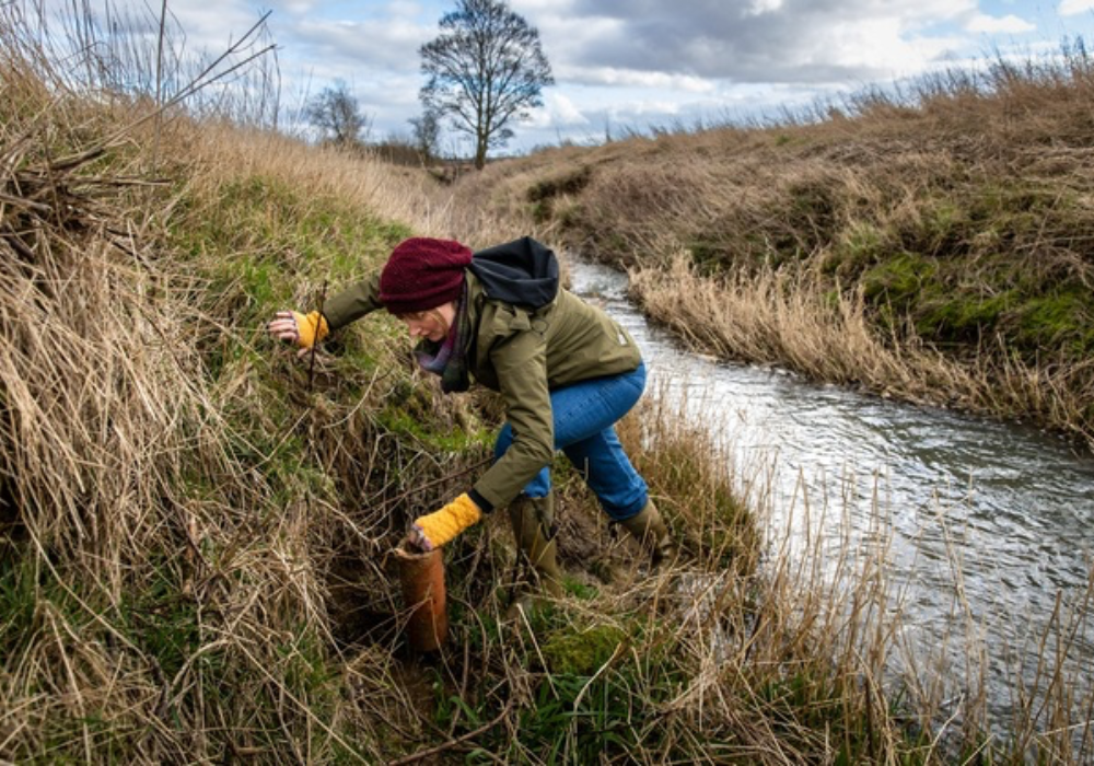 River restoration preparations at Boothby Wildland