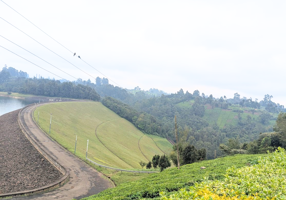 Agroforestry - Upper Tana, Kenya