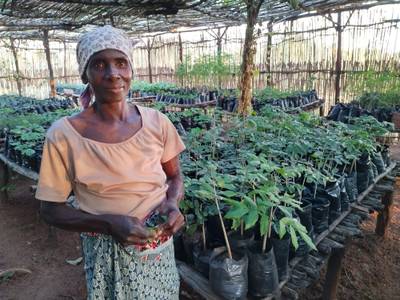 How carbon finance is driving climate action and food security in Mozambique
