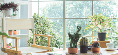 Everything you need to know about regenerative businesses