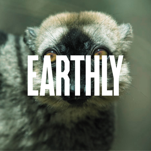 Evolve beauty social