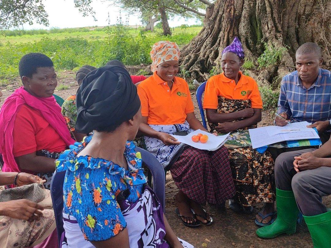 A group of people, including women in colorful clothing and men, are having an outdoor meeting seated under a large tree, discussing documents.