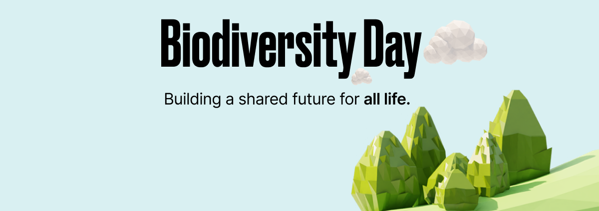 Making an impact with World Biodiversity Day | Earthly Blog