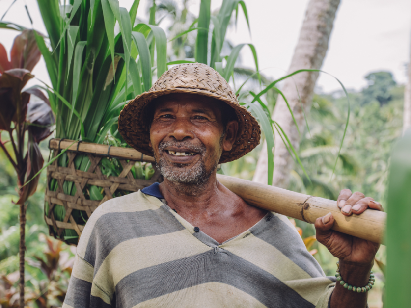 Agroforestry farmer supported by Earthly's origination project consulting
