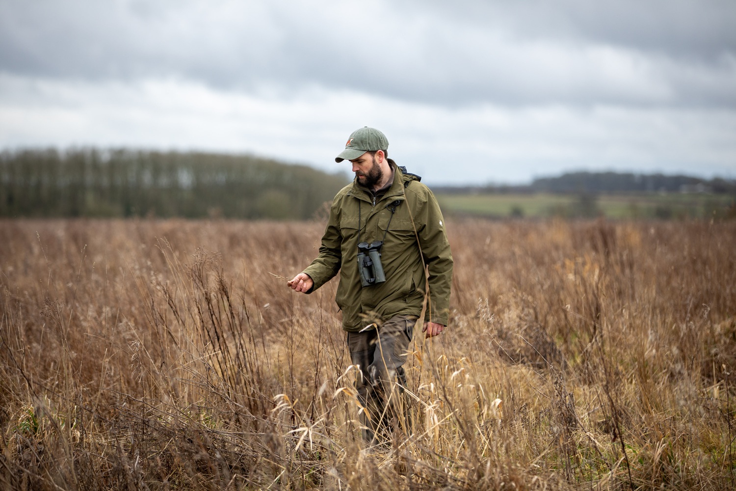 Lincolnshire's wildland revival: restoring a living landscape