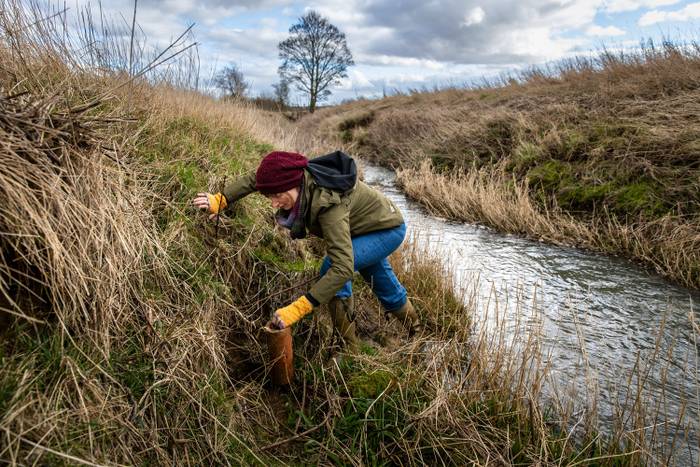 A person placing a wooden post in a grassy bank beside a narrow stream, wearing a green jacket, jeans, and a red hat with yellow gloves.