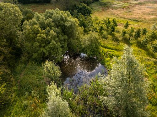 Boothby Wildland landscape, credit Jonathan Perugia for Nattergal