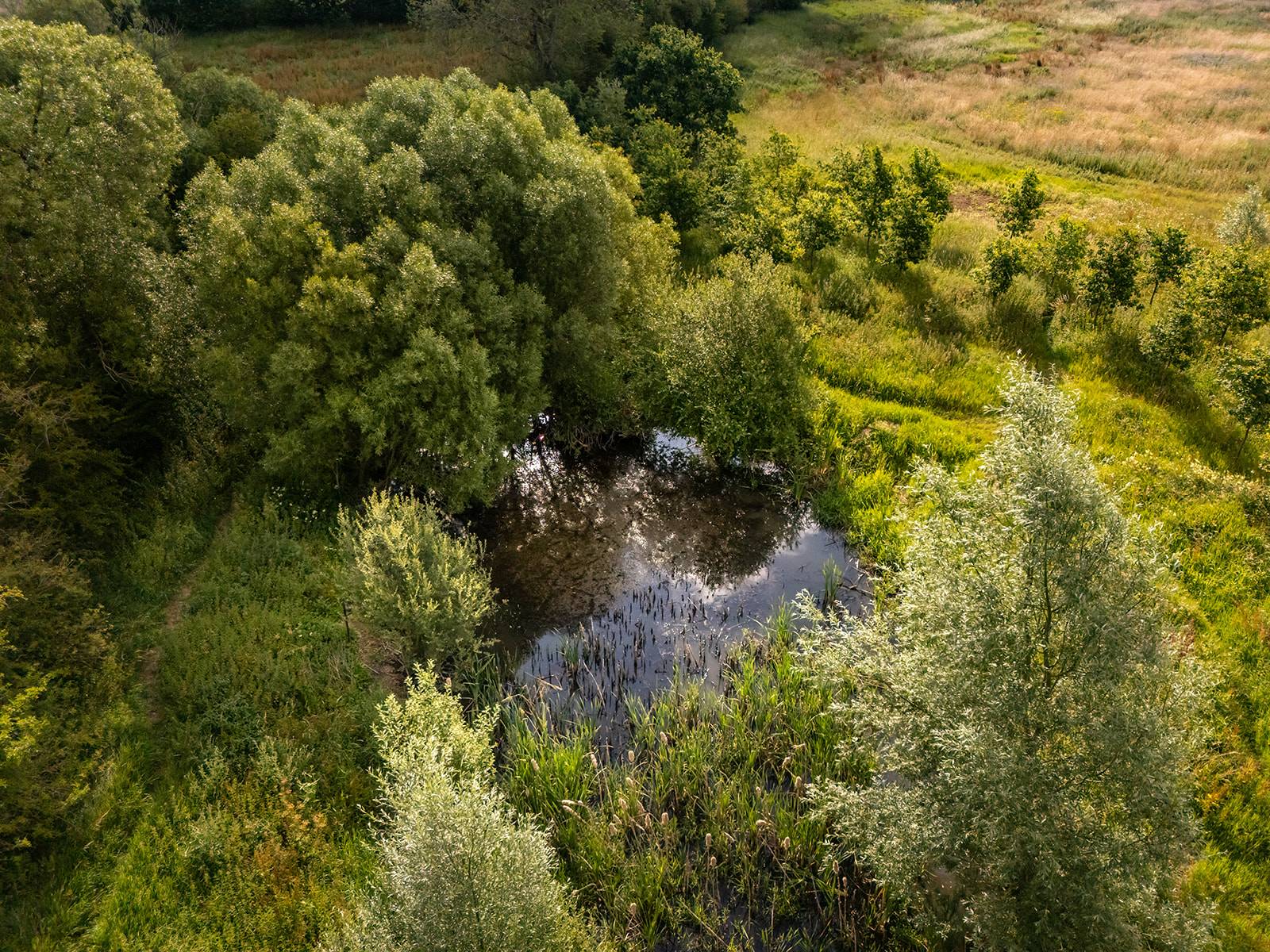 Boothby Wildland landscape, credit Jonathan Perugia for Nattergal