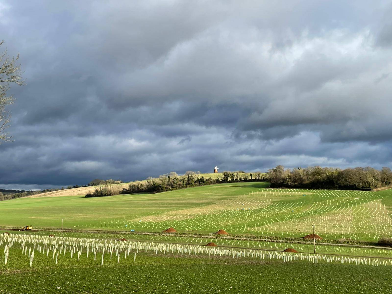 Wide Shot Farm showing planting
