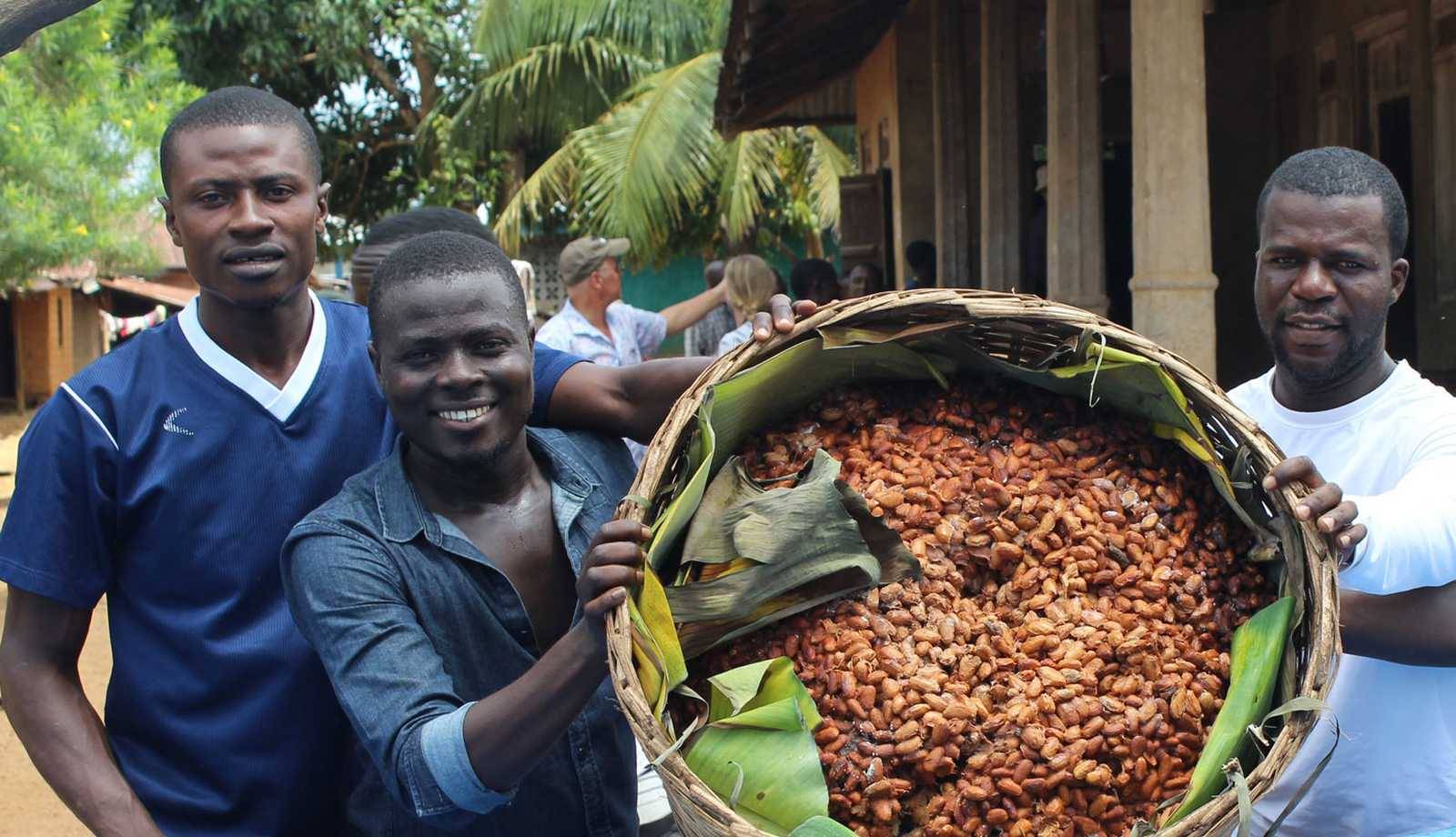 Three men smiling, holding a large basket full of cocoa beans wrapped in leaves, with tropical plants and buildings in the background.
