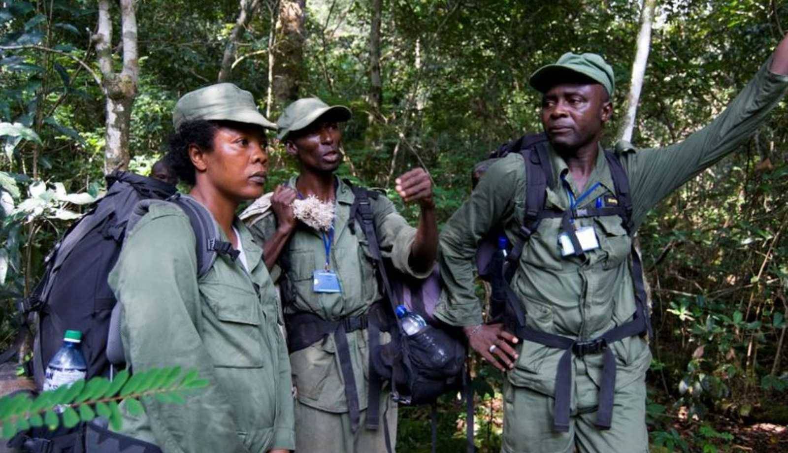 Three park rangers in green uniforms and backpacks stand in a dense forest, attentively engaged in conversation.